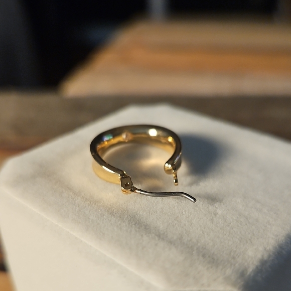 Elegant Gold Hoop Earrings - Picture 9 of 10